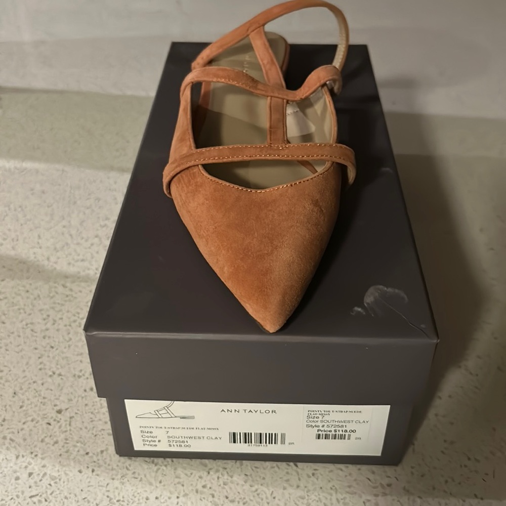 Ann Taylor color southwest clay suede flats brand new